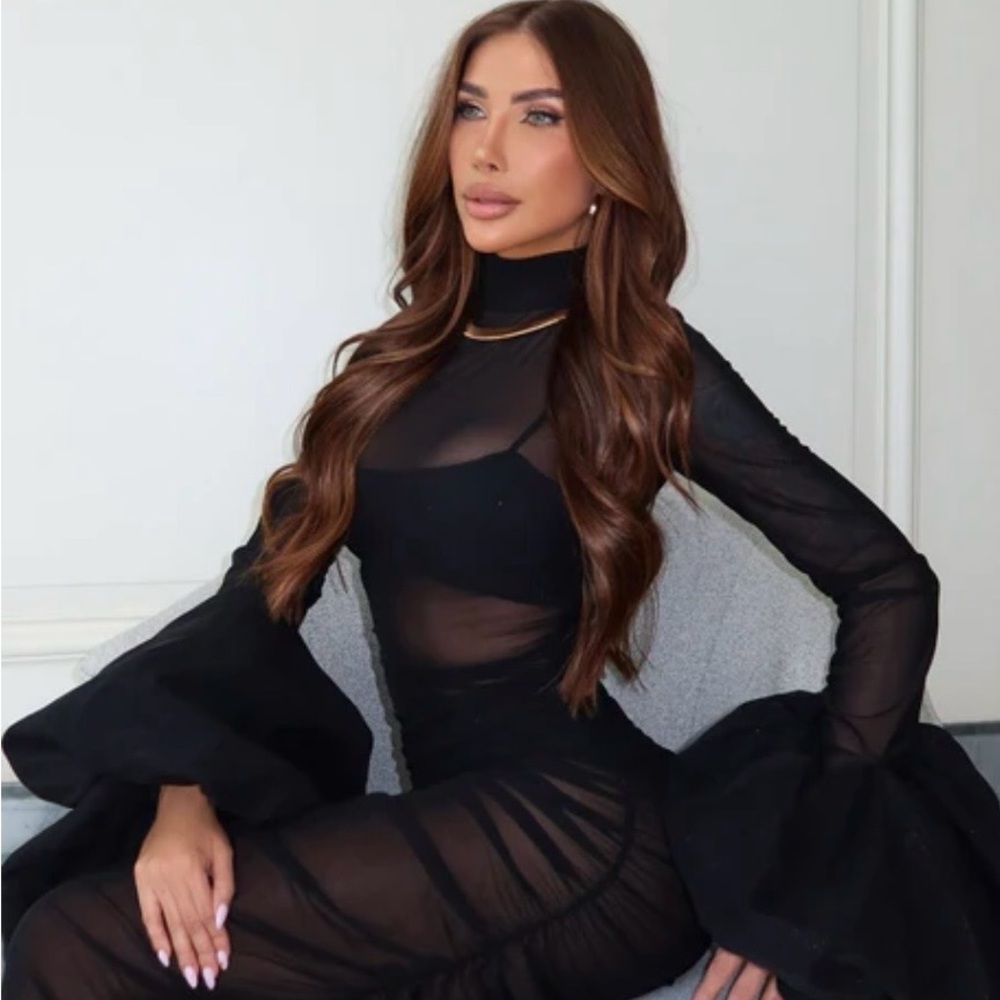 Elegant Black Sheer Dress